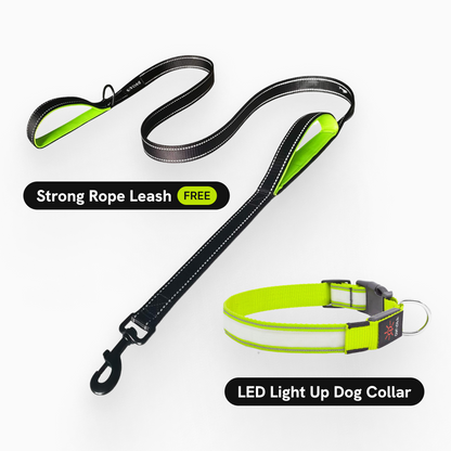 LuxeLight LED Dog Collar